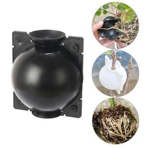 Air Propagator -  Large Medium And Small - Plants Grafting Rooting Device