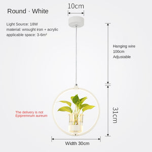 Modern Pendant Lamp Propagator - Decoration