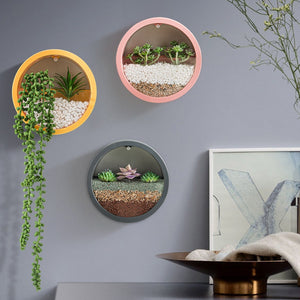 Round Iron Wall Decorative Terrarium