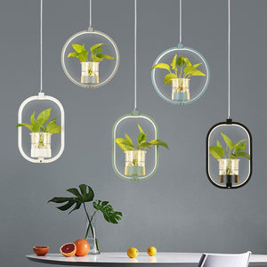 Modern Pendant Lamp Propagator - Decoration