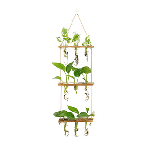 Wall Hanging Propagator