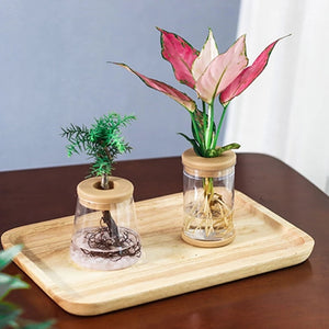 Hydroponic Flower Vase Crystal Decoration