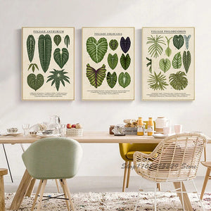 Botanic Science Plant Posters Foliage Philodendron and Anthurium Plants Canvas Printing Painting Home Decoration